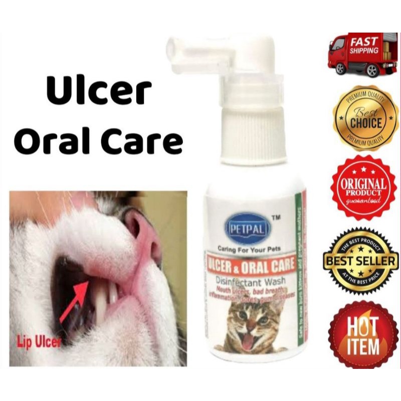 Buy PETPAL ULCER u0026 ORAL CARE / Ubat Ulcer Kucing 45ML  SeeTracker 