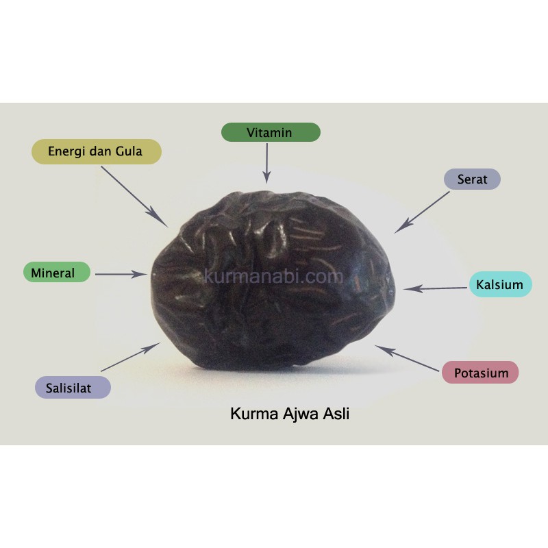 Kurma Ajwa Al Nakhil Madinah 500gr Kurma Nabi Shopee Malaysia