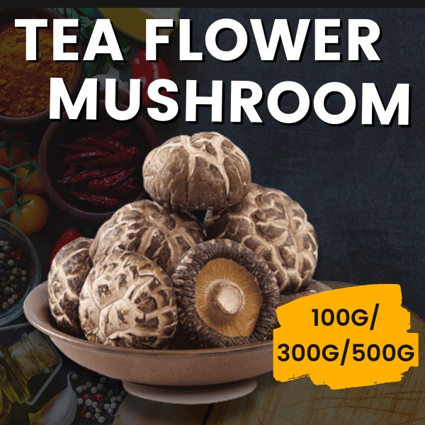 Tea Flower Mushroom (4-6cm) No Sulphur/ Sulphur Free 精选花菇/茶花菇/花菇 4-6cm Dried Mushroom/Dried shiitake mushroom/Dried Flow
