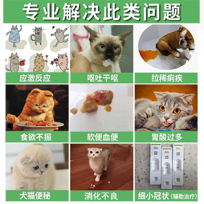 Dog diarrhea medicine cat diarrhea vomiting enteritis diarrh狗 