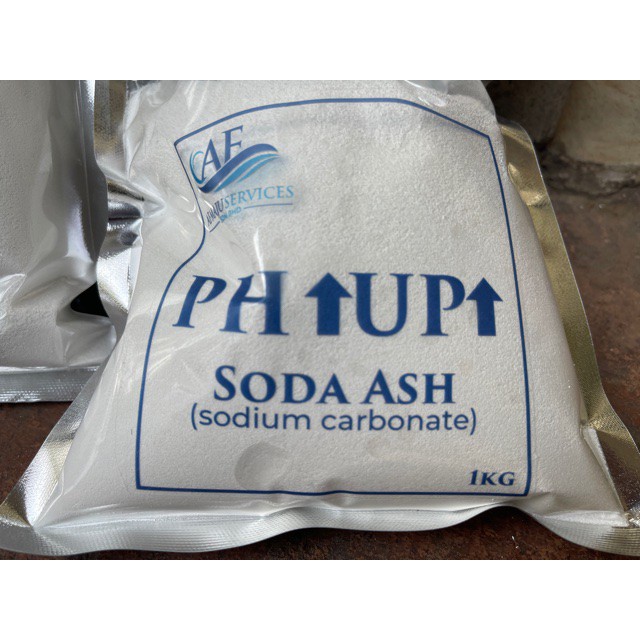 1 KG Soda Ash For Swimming Pool (sodium carbonate). Increase PH pool. Ready to ship. Untuk Kolam