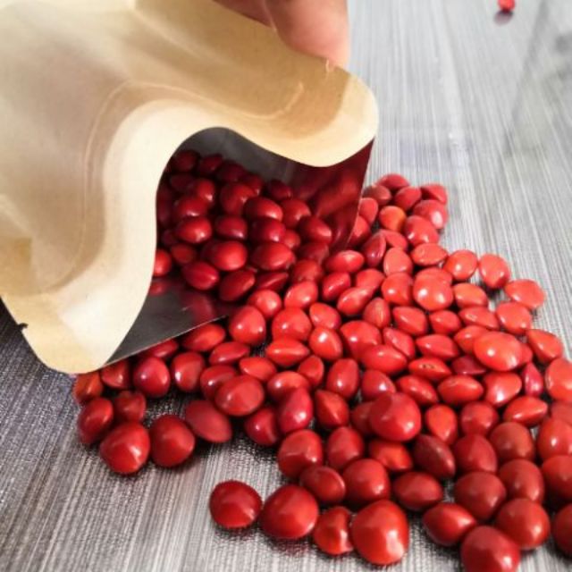 Biji Benih Saga 100pcs Saga Seeds Shopee Malaysia