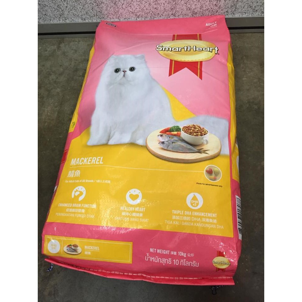 dry cat food 10kg