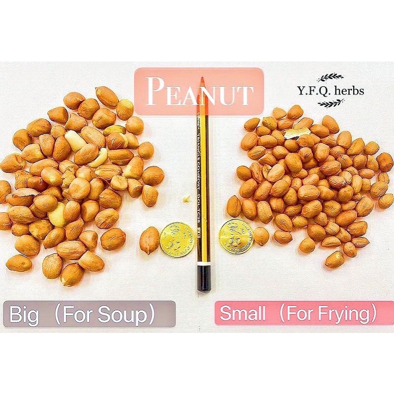 Buy Peanut花生 A Large Size For Soup B Small Size For Frying大粒花生 煲汤用小粒花生 炒用 Variations 100g 500g Seetracker Malaysia