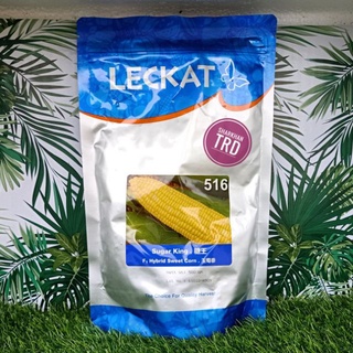 1 Set (500 Gram x 2 Paket) SUGAR KING 516 LECKAT Biji Benih Jagung 