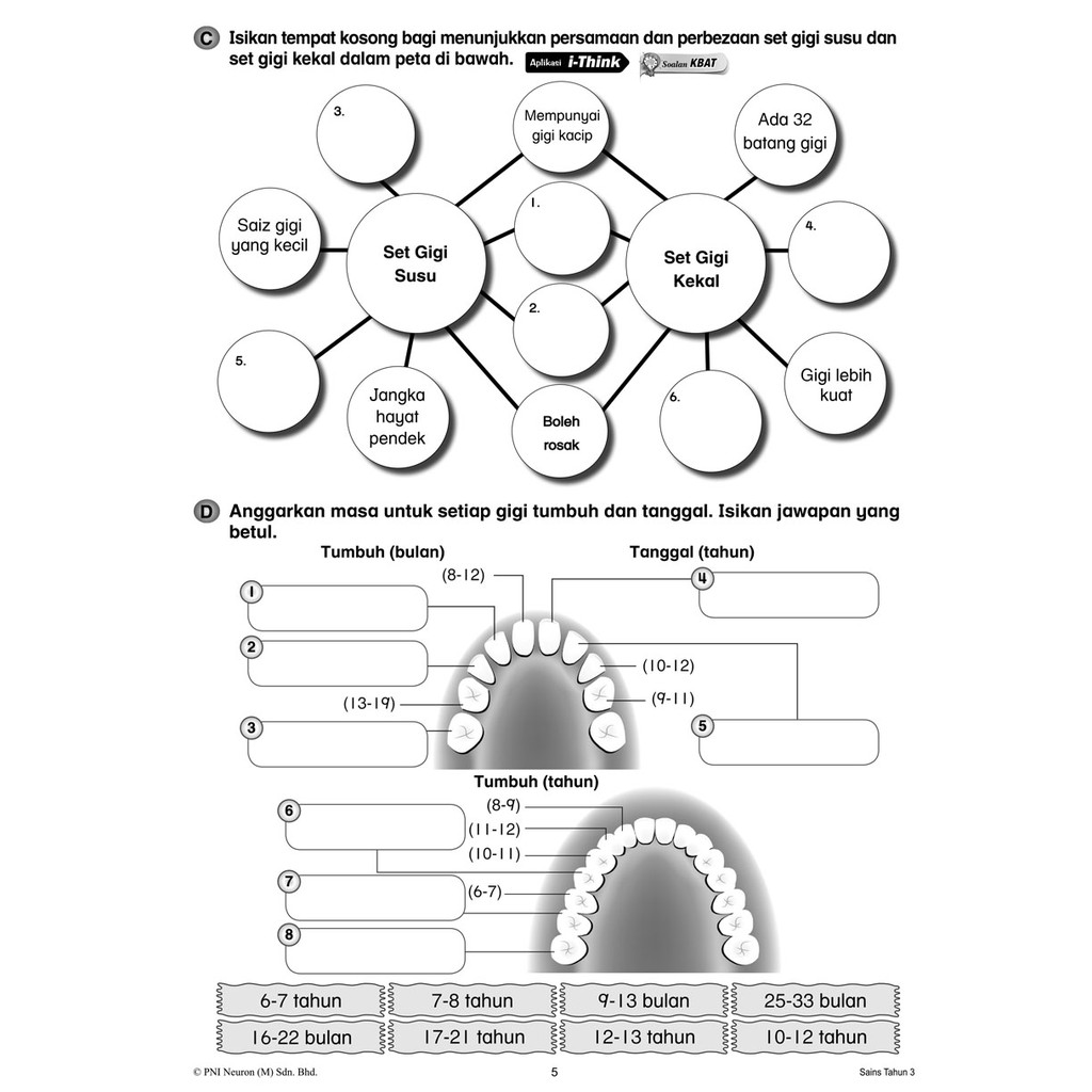 Lembaran Kerja Latihan Sains Tahun 3 Gigi Lembaran Ke