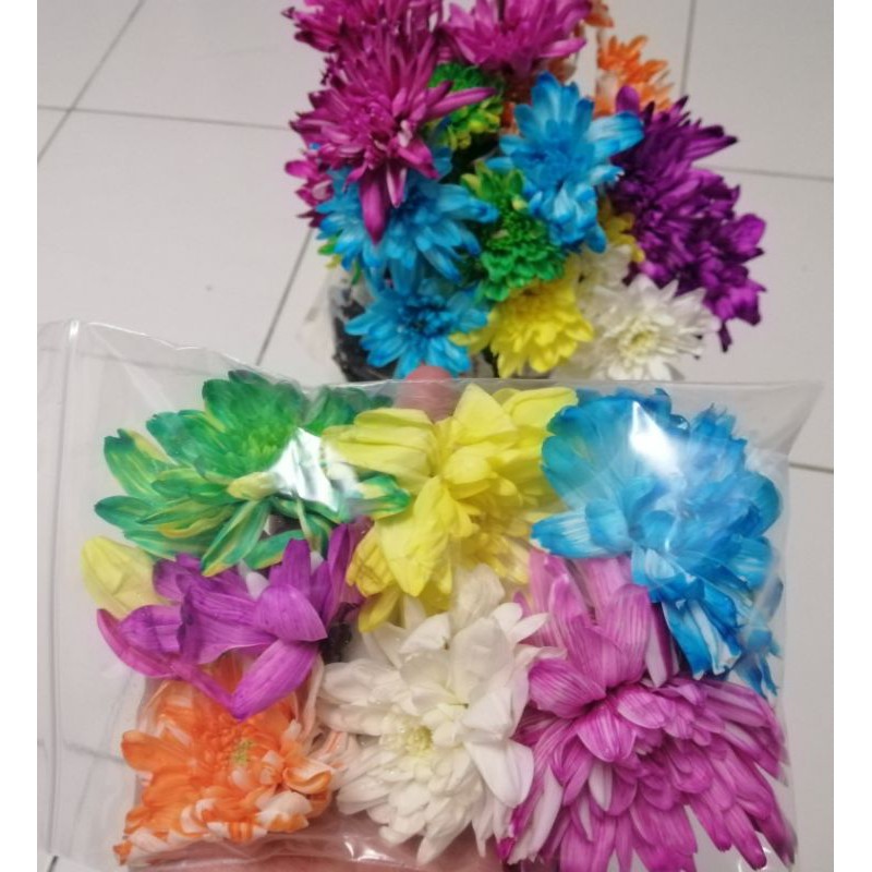 花瓣供七色花浴用途 好运连连 Shopee Malaysia