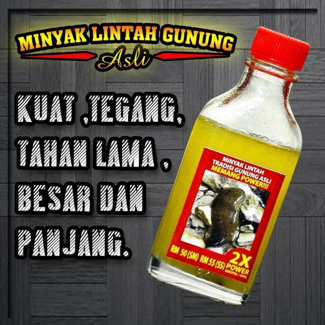 minyak lintah gunung asli