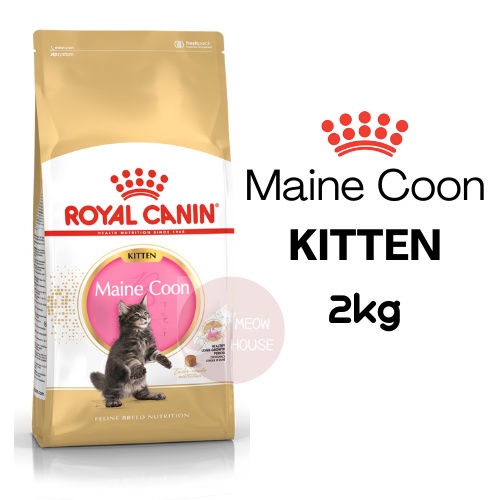 snelheid Vaardig mijn Royal Canin Maine Coon Kitten Dry Cat Food 2kg Original Packing / Makanan  Kucing Royal Canin | Shopee Malaysia