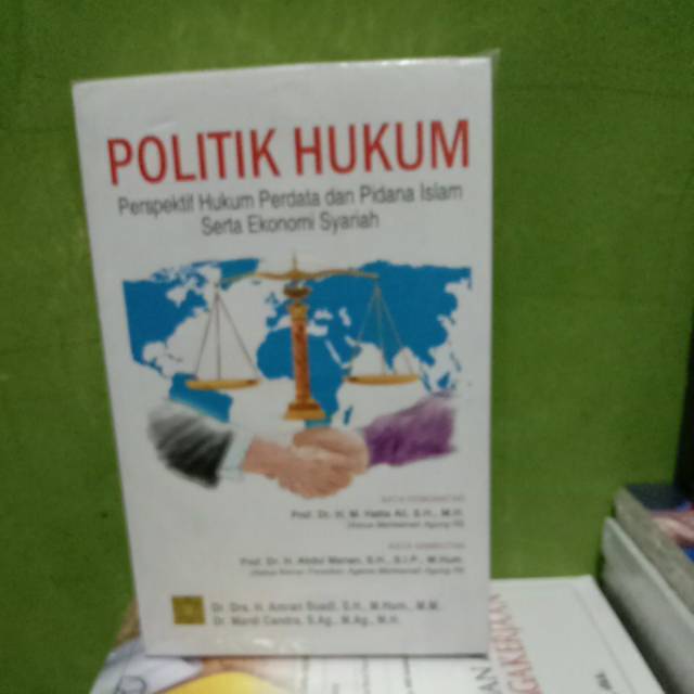Legal Politics