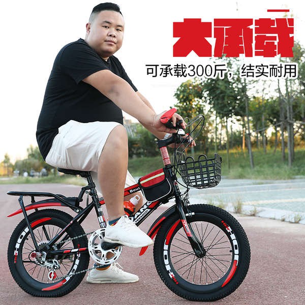 old folding bike