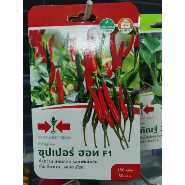 Benih Cili Padi Panah Merah Thailand Shopee Malaysia