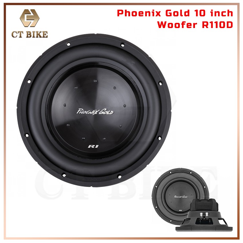 10 inch 4 ohm woofer