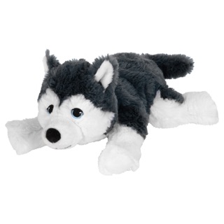husky cuddly toy