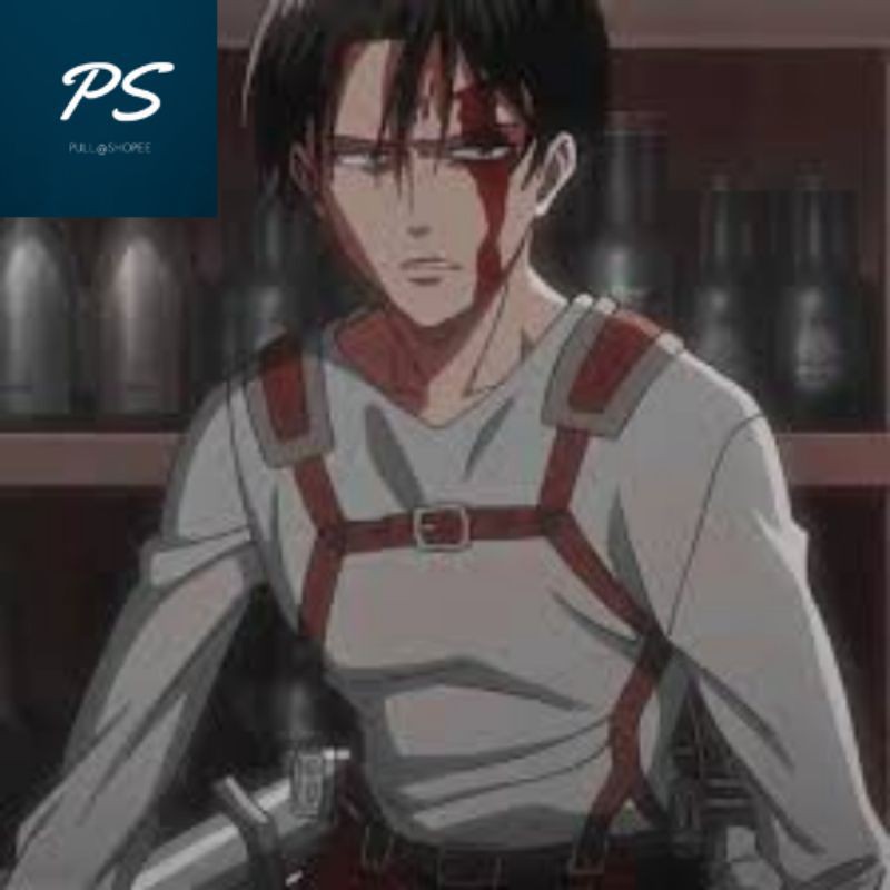 Levis Ready Stock Local Apa Baju Levi Ackerman Attack On Titan Shingeki No Kyojin Manga Anime Baju Shirts Shor Shopee Malaysia