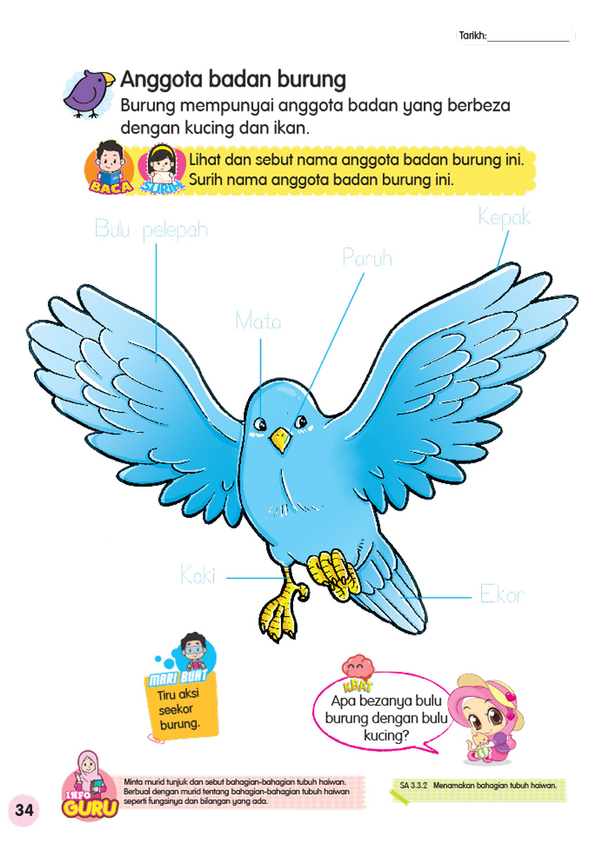 Siri Sekolah Pertamaku Sains Buku Akademik Prasekolah Shopee Malaysia