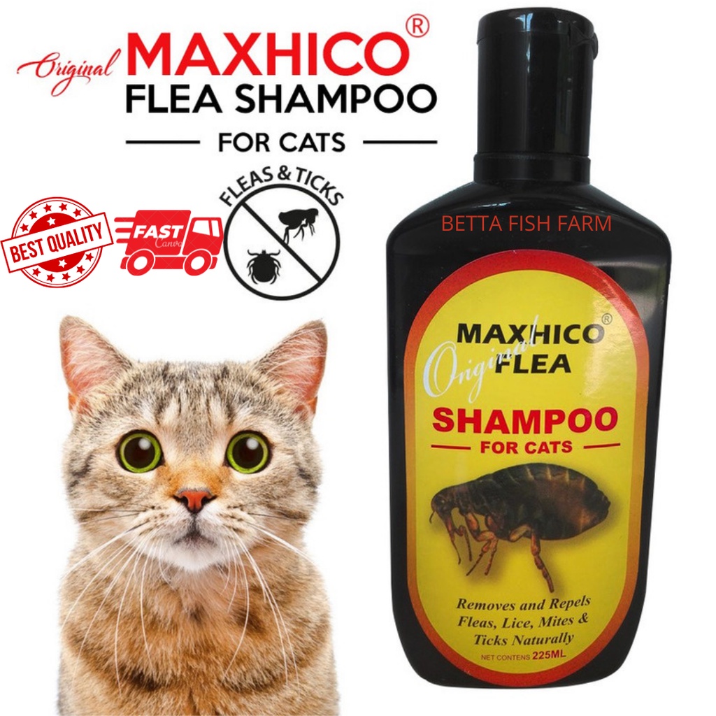 Shampoo Kutu Kucing Maxhico Flea Cat Shampoo /225ML Shopee Malaysia