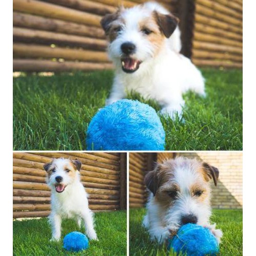 milo activation ball