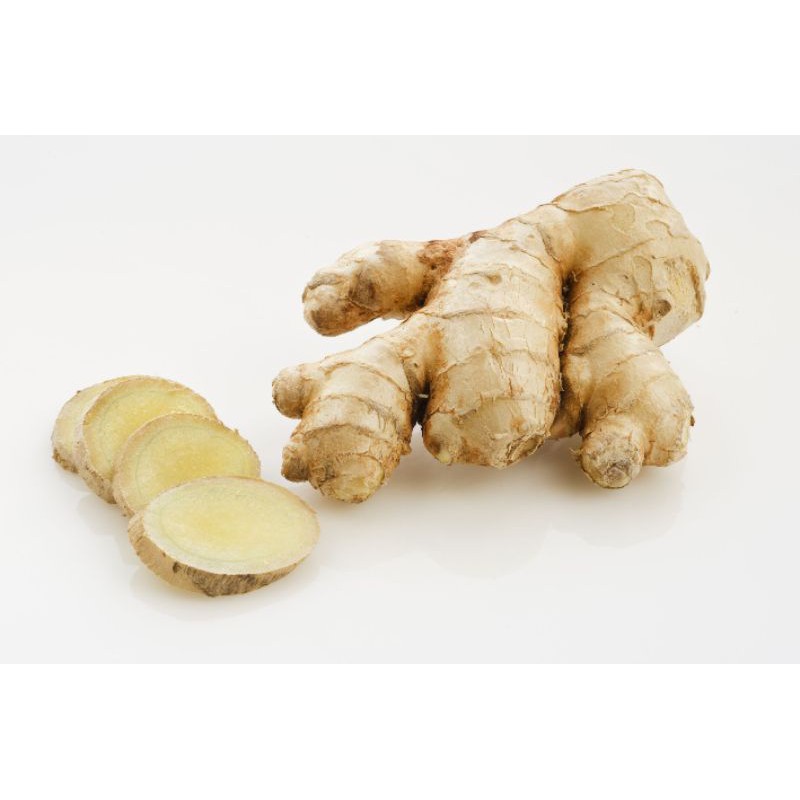 Bentong Old Ginger 100g Shopee Malaysia