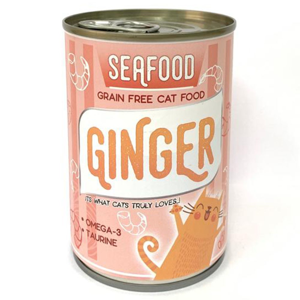 Grain Free Cat Food With Turmeric And Ginger