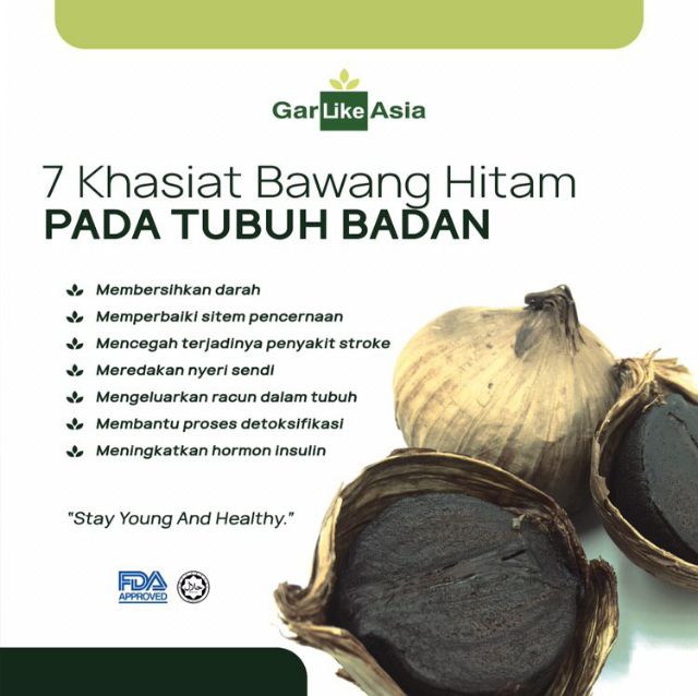 Black Garlic Bawang Hitam Malaysia