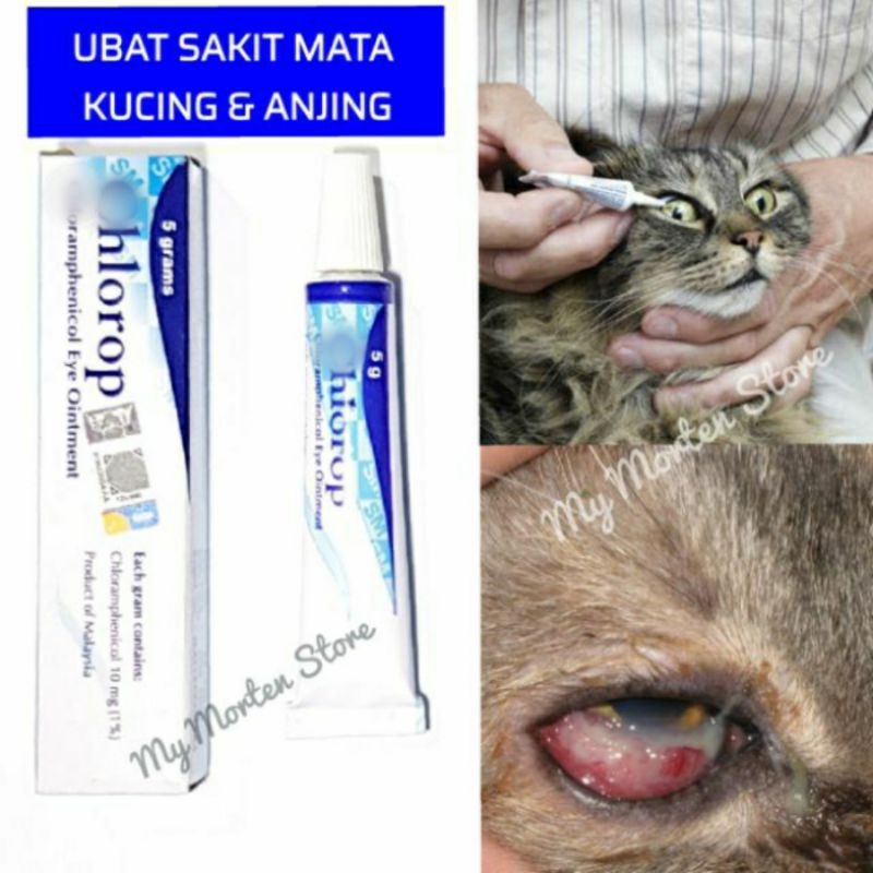 Ubat Sakit Mata Kucing u0026 Anjing  Shopee Malaysia