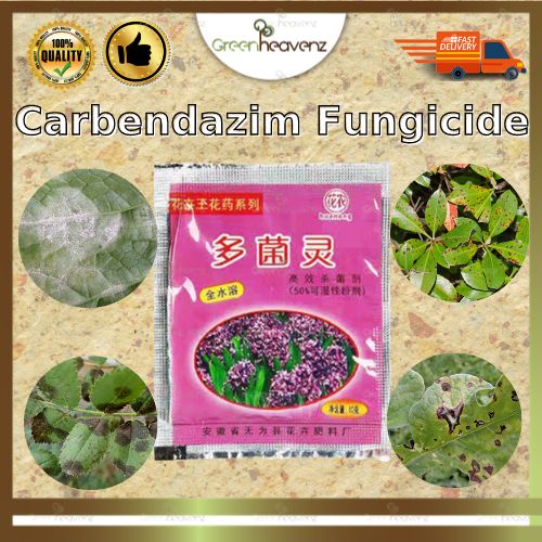 GHZ 多菌灵 Carbendazim Fungicide For Plants Racun Pokok Racun Ulat Daun ...