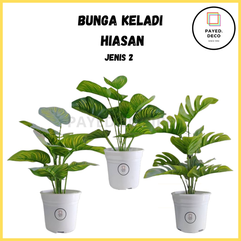 Buy Bunga Daun Keladi Hiasan Kembang Cantik untuk Hiasan Dalam 