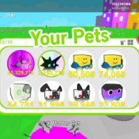 Roblox Cheap Pet Simulator Dark Matter Pets For Sale Robux Shopee Malaysia - roblox pet simulator immortuos