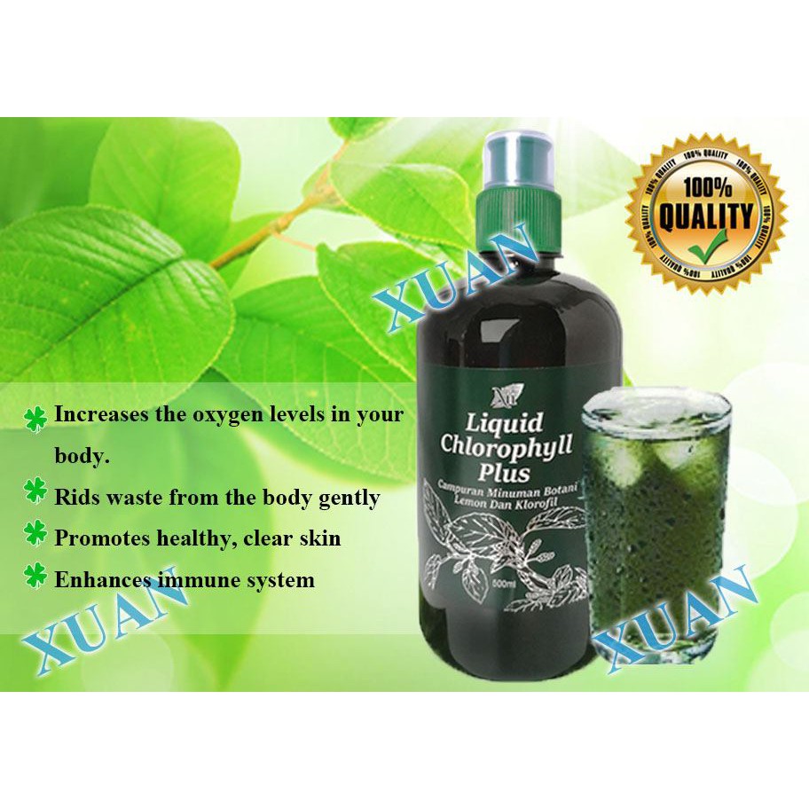 Drink malaysia chlorophyll Liquid Chlorophyll