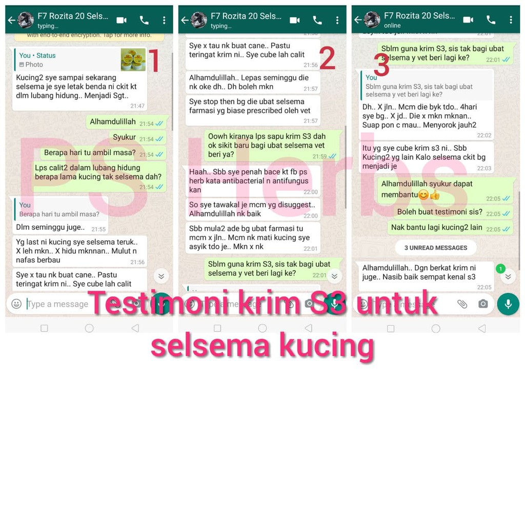 Buy Ubat Kucing Krim S3 Anti Fungus Antibakteria Sakit Mata 