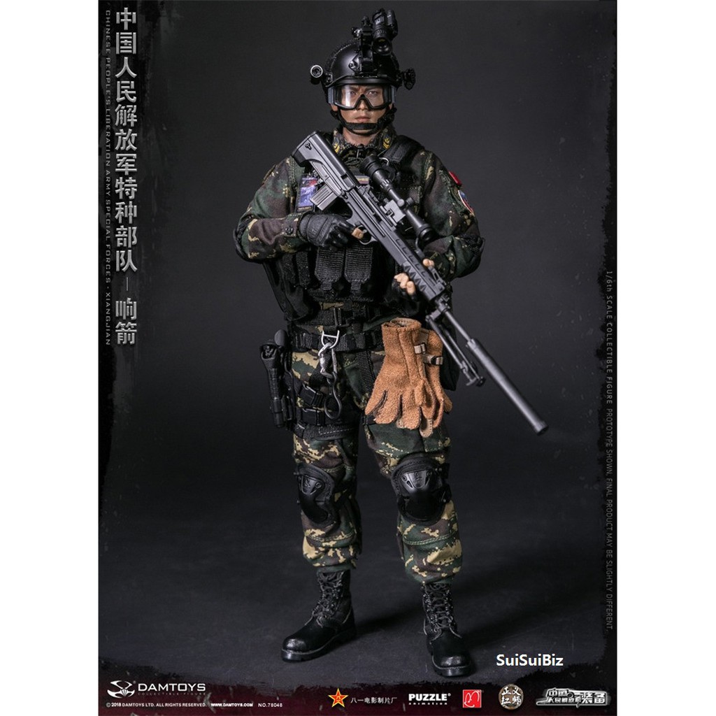 1/6 Scale Toys DAMTOYS 78048 - Chinese People's Liberation Army Special
