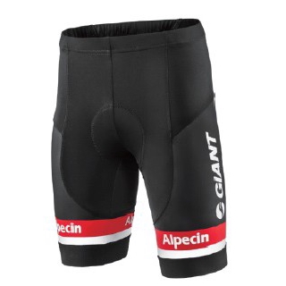 giant tour shorts