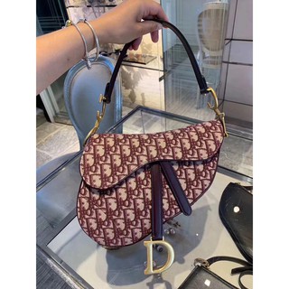 dior crossbody saddle bag