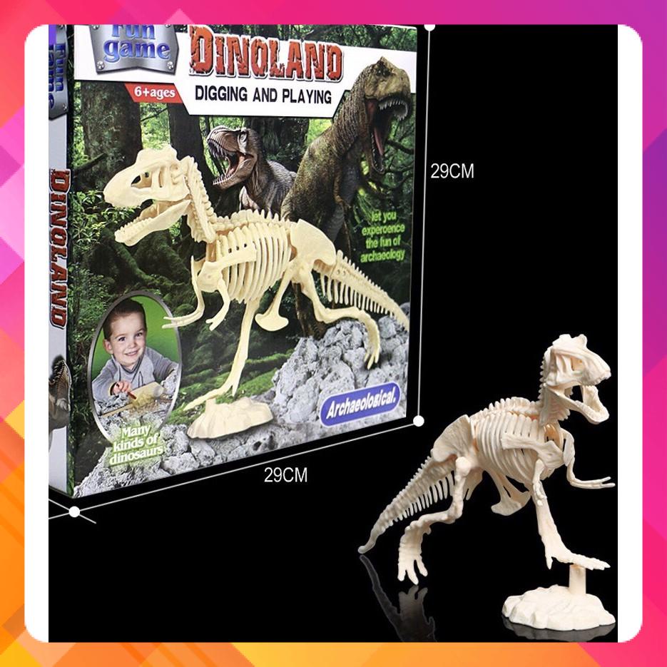 Antiquities Toys - Dinosaur Fossil Collectibles | Shopee Malaysia