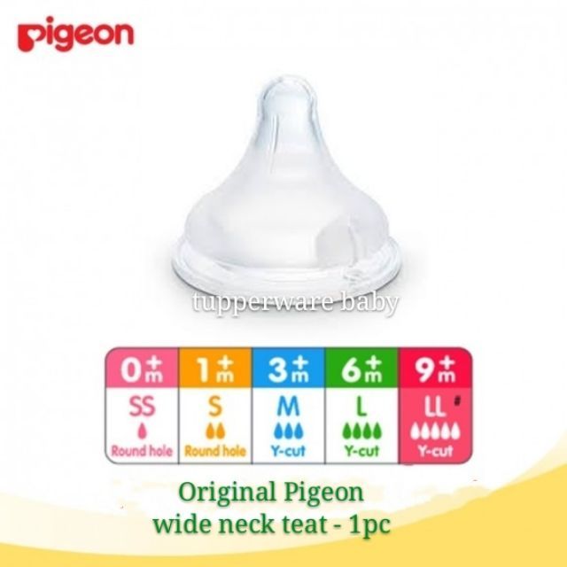 pigeon newborn teat