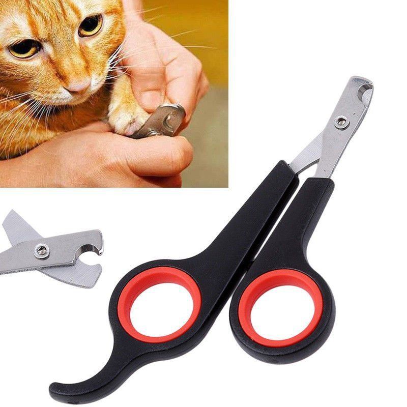 guinea pig nail clippers