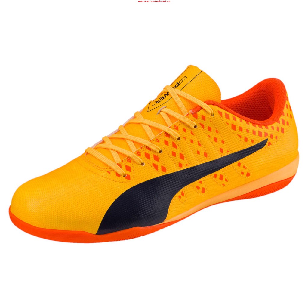 puma evospeed futsal shoes