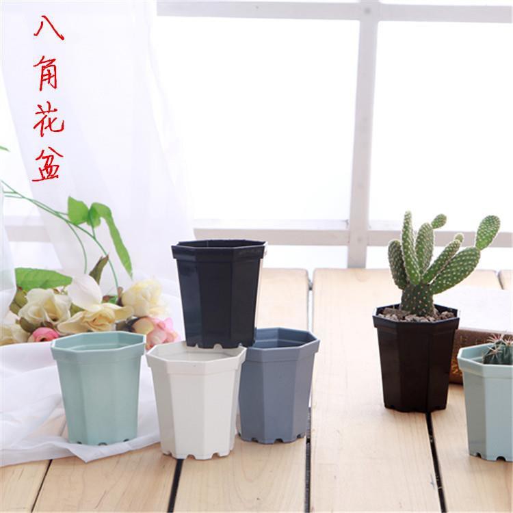 塑料花盆 八角花盆加厚小方多肉花盆小彩方小黑方中国风塑料花盆简约迷你 Shopee Malaysia