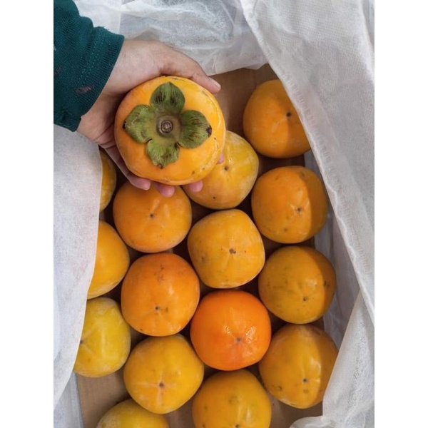 Buy Hot Buah Pisang Kaki Sweet Persimmons Seetracker Malaysia