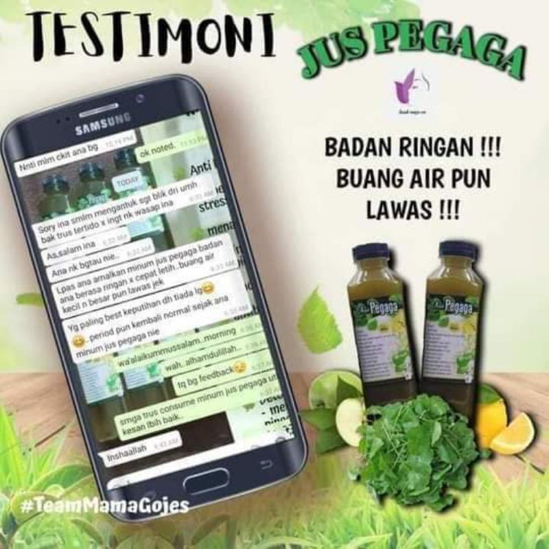 Jus Pegaga Epal Hijau Lemon Kencing Manis Darah Tinggi Obesiti Free Gift Shopee Malaysia