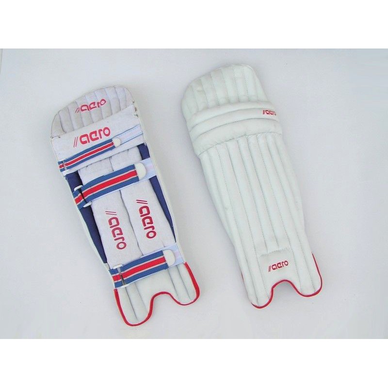 Batting & Wiket Keep Pads