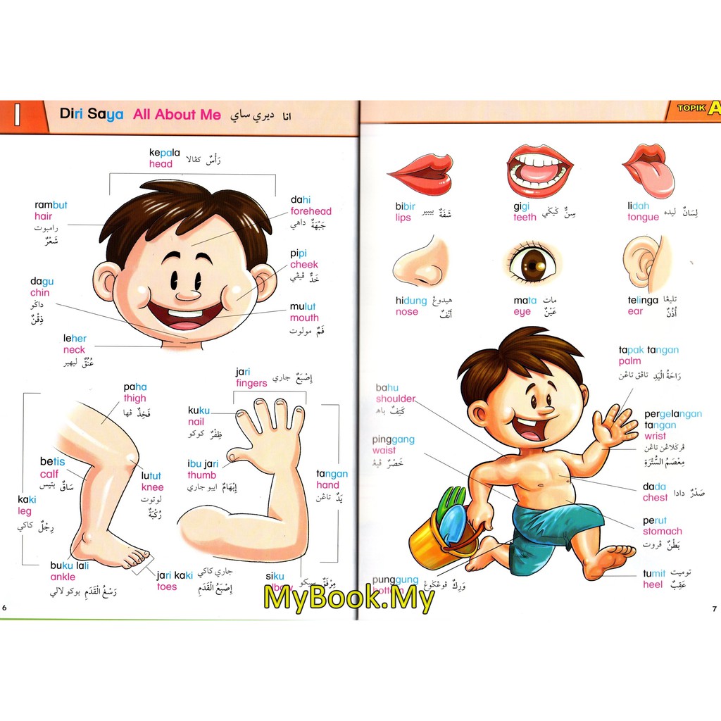 Myb Buku Dictionary Kamus Bergambar Temanku Bahasa Melayu Bahasa Inggeris Arab Jawi Nusamas Shopee Malaysia