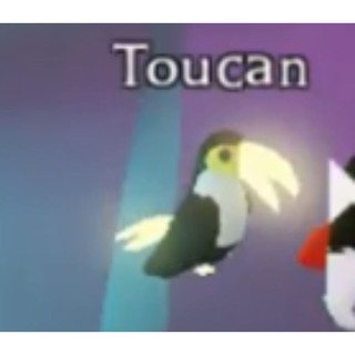 Objet Virtuel Fly Ride Toucan Pour Roblox Adopt Me - Neuf, Code Ou Article Numérique