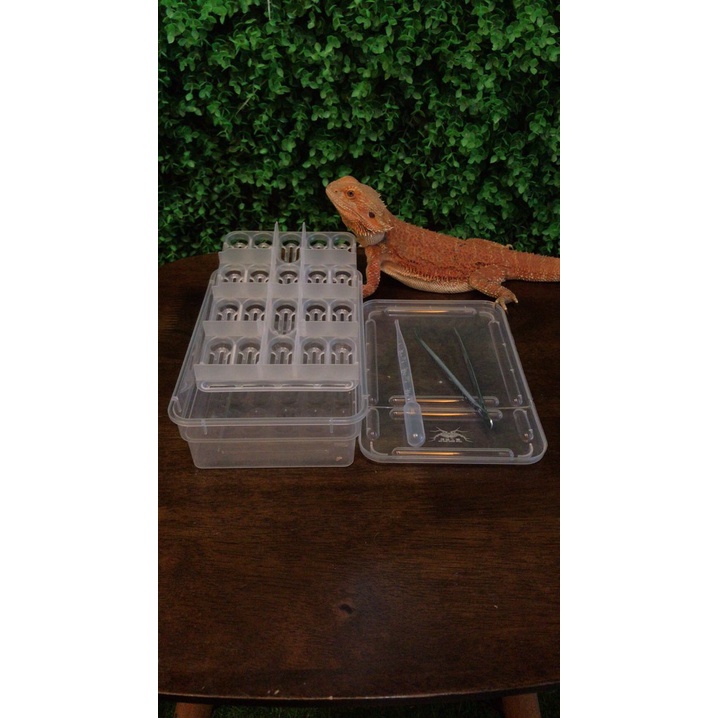 Reptile egg incubator (egg) (reptiles) (leopard gecko) (bearded dragon