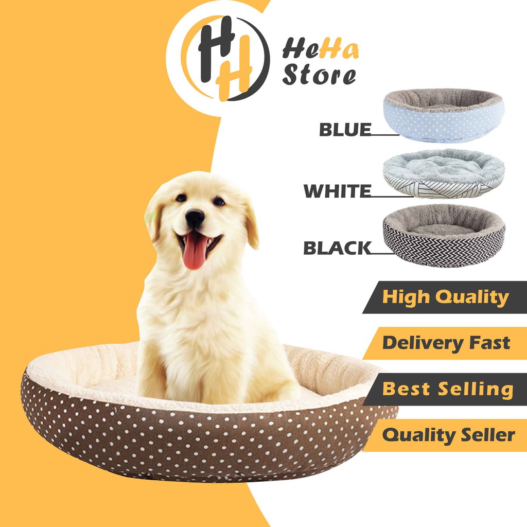 Why Does My Dog Keep Nesting