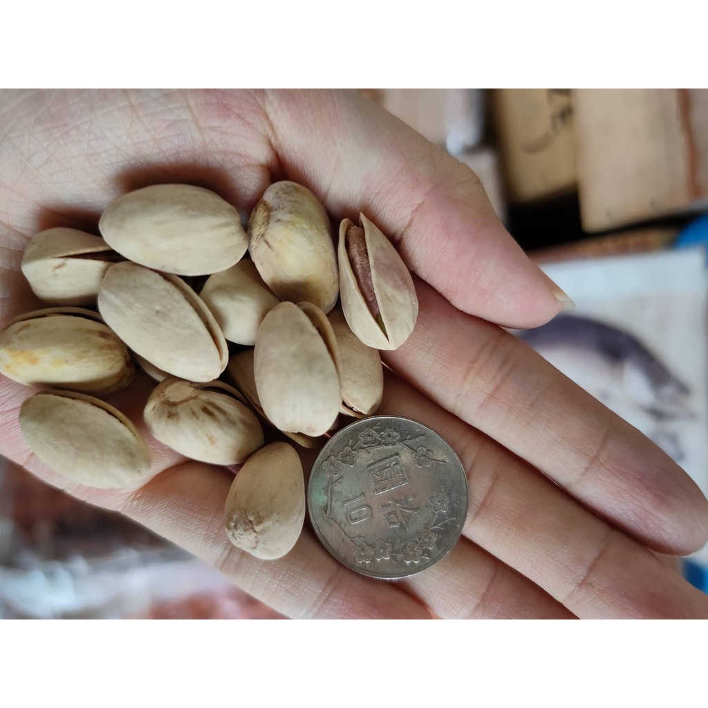 Pistachio (Cooked) 300g 600g Shopee Malaysia