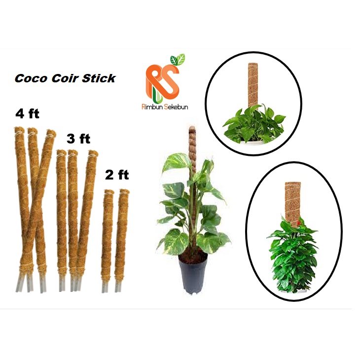 cocopeat pole