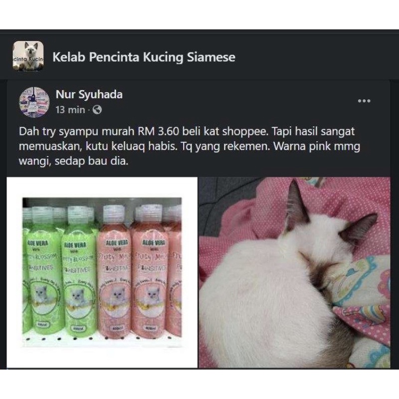 Buy 🐾 400ML CAT SHAMPOO WITH ALOE VERA/ SYAMPOO MANDIAN KUCING 