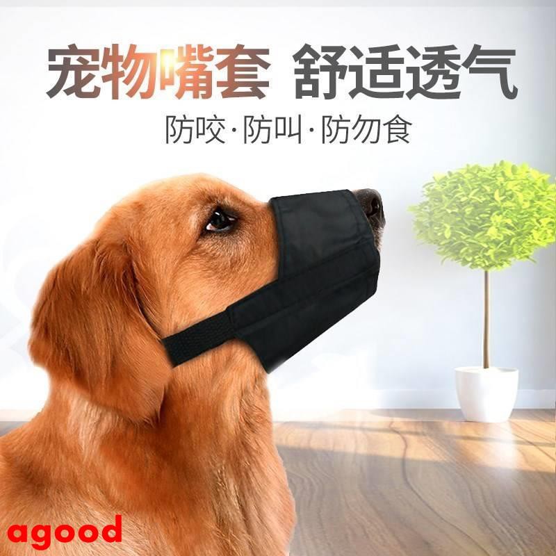 Agood Anjing Labrador Meliputi Anjing Kecil Anjing Golden